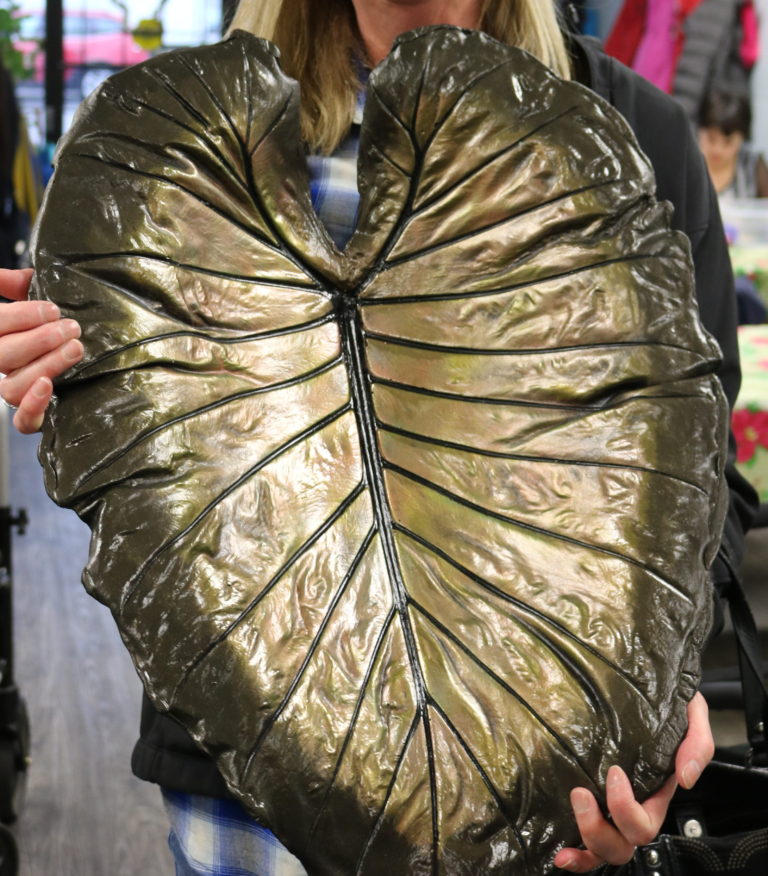 Big Leaf-1