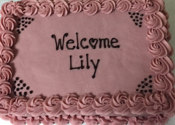 Lily Cake